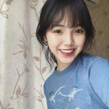 半岛·综合下载手机版