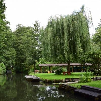 BOB半岛·体育官方平台截图