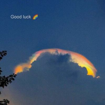 购彩中心welcome入口官方版下载手机版